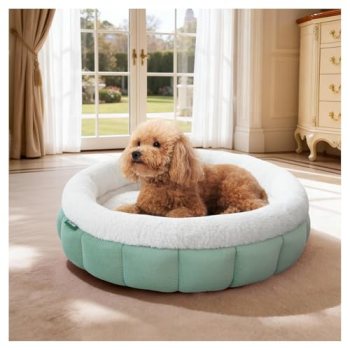 BALANCE Cat Beds for Indoor Cats