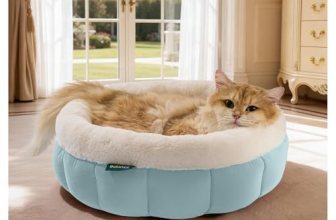 BALANCE Cat Beds for Indoor Cats