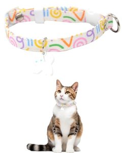 GoldTiger Graffiti Cat Collar with Breakaway and Cute Cat Charm，Adjustable Size