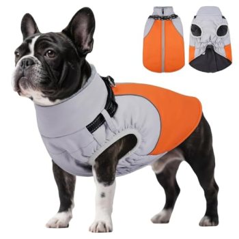 DENTRUN Dog Coat with Harness Built in