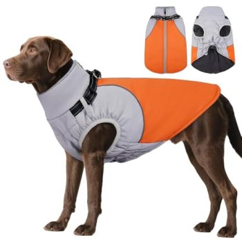 DENTRUN Dog Coat with Harness Built in