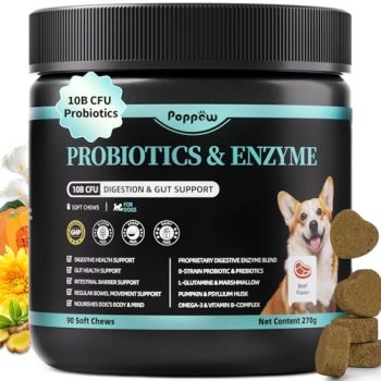 Probiotics for Dogs, Digestive Enzymes & Pumpkin Fiber for Gut Health and Bowel