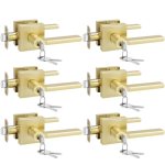 Goldenwarm Entry Door Handles with Lock and Key