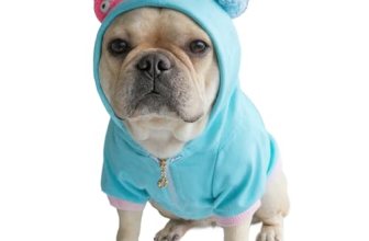 CHEERTAILS Frenchie Sweater for Dogs