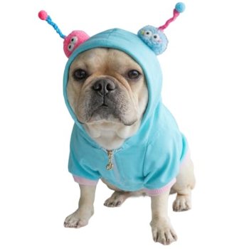 CHEERTAILS Frenchie Sweater for Dogs