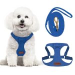 Tewiwap No Pull Small Dog Harness and Leash Set