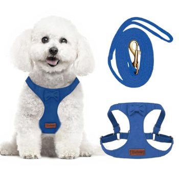 Tewiwap No Pull Small Dog Harness and Leash Set