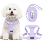 Tewiwap No Pull Small Dog Harness and Leash Set