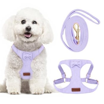 Tewiwap No Pull Small Dog Harness and Leash Set