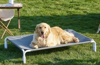 ZOMISIA Elevated Dog Cot Bed Tool-Free Assembly