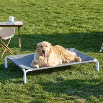 ZOMISIA Elevated Dog Cot Bed Tool-Free Assembly
