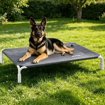 ZOMISIA XL Elevated Dog Cot Bed Tool-Free Assembly