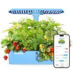 Sainlogic Hydroponics Growing System Kit