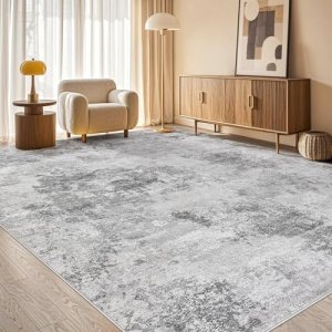 Tortania Washable 6×9 Area Rug for Living Room: Modern Abstract Neutral Large So