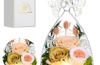 Tiaronics Mothers Day Rose Gifts for Women Preserved Real Flower in Glass Angel