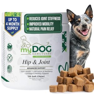 My Dog Sanctuary Hip & Joint Supplement for Dogs – 120 Soft Chews
