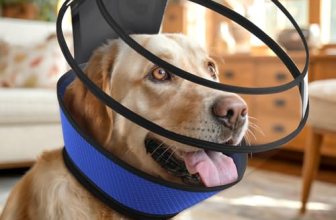 Soft Dog Cone for Dogs After Surgery