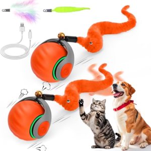 2PCS Interactive Cat Toy Ball with Feather Tails
