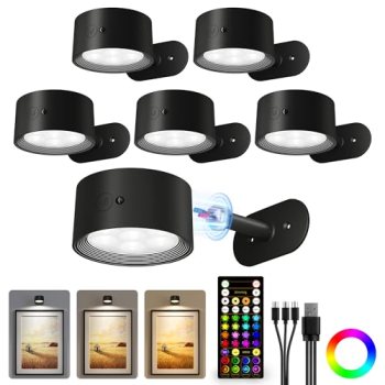 AMETHEUS Picture Lights for Wall