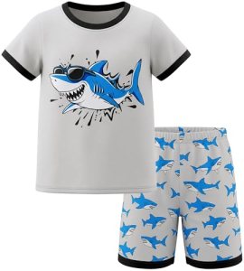 HONGTEYA Toddler Boys Clothes Kids Cotton Clothes Fun Cool Summer Short Wear in