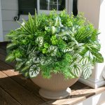 Starttag Artificial 20pcs Bunches Greenery Plants Fake Plastic Leaves with Stems