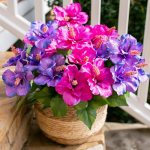 HyeFlora Artificial Hibiscus Flowers for Outdoors Faux Plant Spring Decor