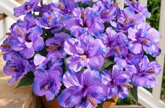 HyeFlora Artificial Hibiscus Flowers for Outdoors Faux Plant Spring Decor