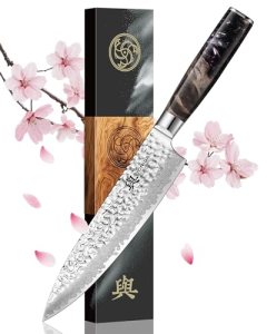 Japanese Chef Knife, 67-Layer Damascus Steel 8 Inch Kitchen Knife with AUS-10 Co