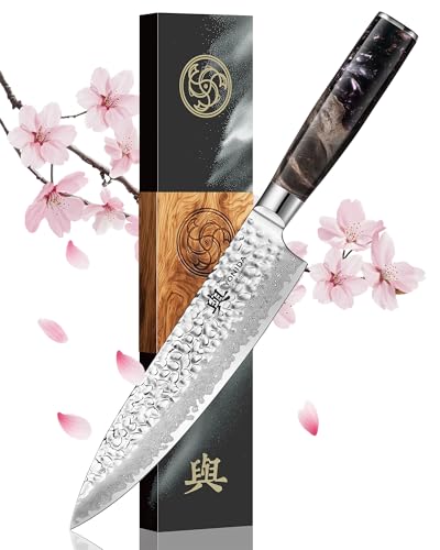 Japanese Chef Knife, 67-Layer Damascus Steel 8 Inch Kitchen Knife with AUS-10 Co
