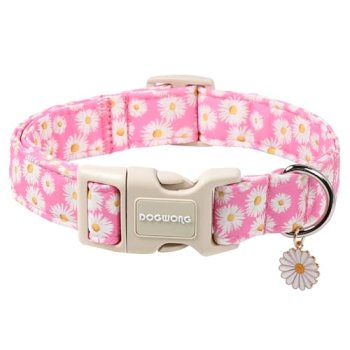 DOGWONG Flower Dog Collar-Daisy Flower Print Girl Dog Collar for Large Cute Dog