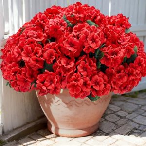 Karlliu Artificial Geranium Flowers for Outdoors: 12 PCS Realistic UV Resistant