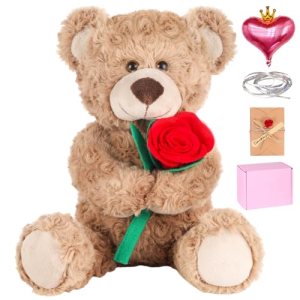 Teddy Bear,2026 Graduation with Gift Box