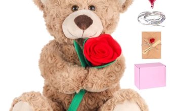 Teddy Bear,2026 Graduation with Gift Box