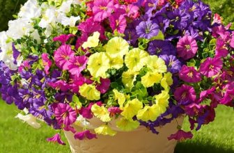 Fanfantoey 16 pcs Artificial Flowers for Outdoors
