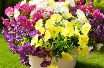 Fanfantoey Artificial Flowers for Outdoor