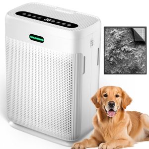 HEARBOBO Air Purifiers for Home Large Room up to 3000sq.ft with Washable Filters