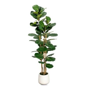 Artificial Fiddle Leaf Fig Tree in Modern White Planter