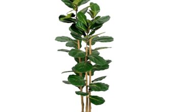 Artificial Fiddle Leaf Fig Tree in Modern White Planter