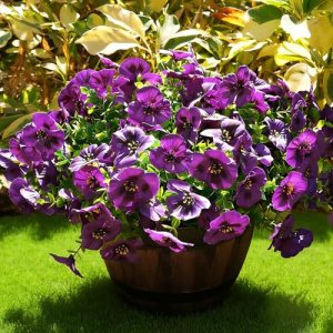 Fanfantoey Artificial Flowers for Outdoors