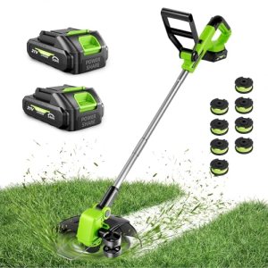 21V Weed Wacker Cordless & Lawn Edger