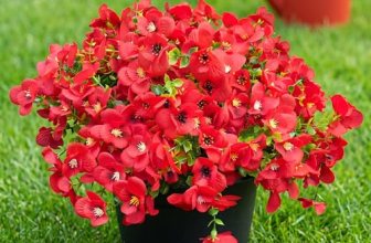 Vemander Artificial Flowers for Outdoor