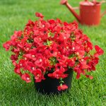 Vemander Artificial Flowers for Outdoor