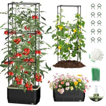 MQJIAZHI Self Watering Tomato Planter with Trellis