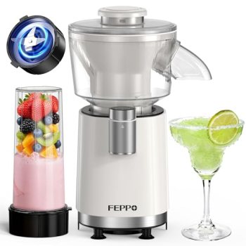 FEPPO Snow Cone Machine & Smoothie Blender 2 in 1