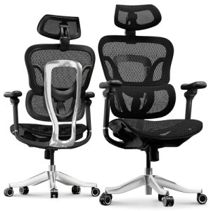 FLEXISPOT ErgoX Max Ergonomic Office Chair Black – Aluminum Alloy Frame & Base