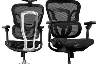 FLEXISPOT ErgoX Max Ergonomic Office Chair Black – Aluminum Alloy Frame & Base
