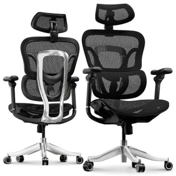 FLEXISPOT ErgoX Max Ergonomic Office Chair Black – Aluminum Alloy Frame & Base