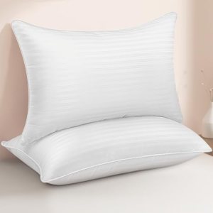 HEYCUZI Queen Size Bed Pillows Set of 2