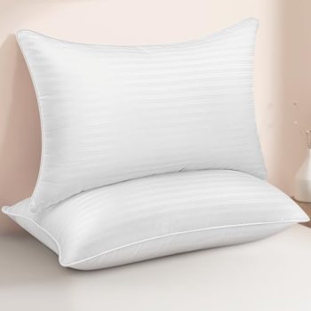 HEYCUZI Queen Size Bed Pillows Set of 2