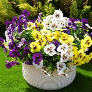 Fanfantoey Artificial Flowers for Outdoors